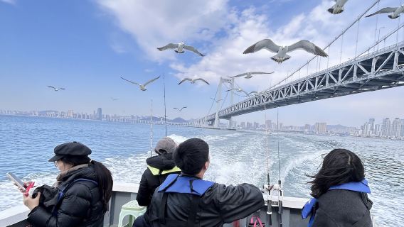 遼寧大連星海遊艇碼頭釣魚艇海上觀光+海釣+餵海鷗【專業船長教學+免費提供釣竿魚餌+魚獲歸客人所有】