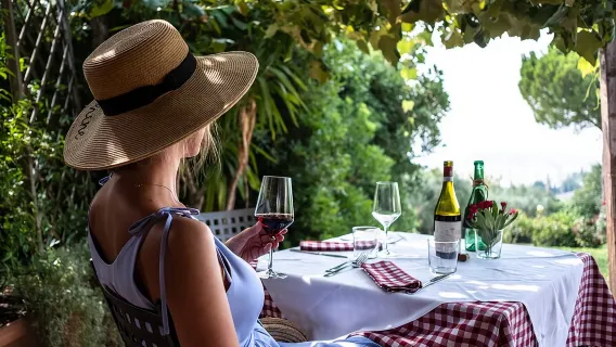 Wine Tasting with Panoramic View of Verona