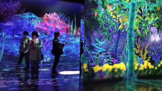 บัตรเข้าชม teamLab Forest Fukuoka ประสบการณ์ศิลปะแบบดื่มด่ำ