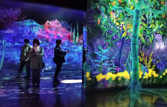 teamLab Forest 福岡沉浸式藝術體驗門票