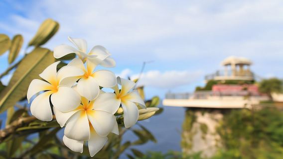 Ultimate Guam self-driving audio tour