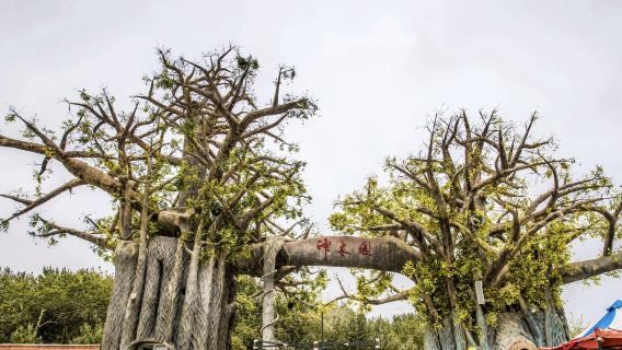 神木園+濕地公園：自然奇觀與生態巡禮