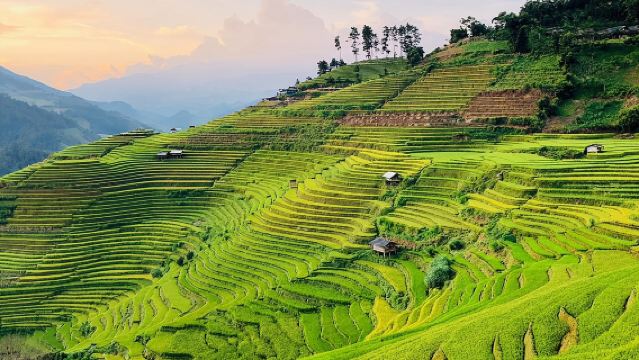 Discover the Beauty of Sa Pa: A One-Day Trek
