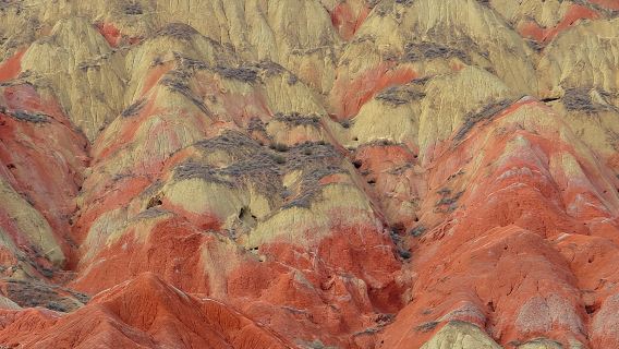 蘭州+水墨丹霞旅遊景區半日遊【 封頂8人團|純玩無購物】