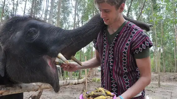 プーケット・ナイディー・エレファント・ケア・パーク ワンデーツアー【全島送迎付き】|中日ガイド|カメラマンによる撮影