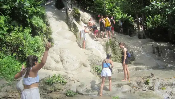 泰國清邁LG大象營+粘粘瀑布一日遊