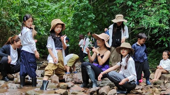 高黎貢山竄龍徒步一日遊【5-13Km可選原始叢林毛毛球森林】