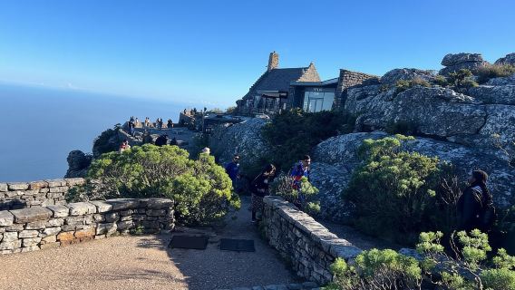 Cape Town: Lawatan Separuh Hari Table Mountain Cableway dengan Tiket