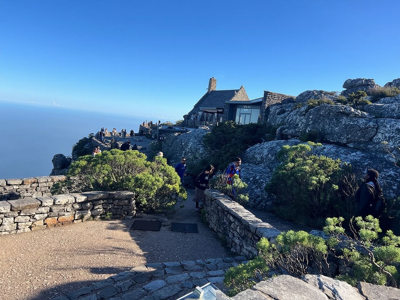 Città del Capo: tour di mezza giornata sulla funivia della Table Mountain con biglietto