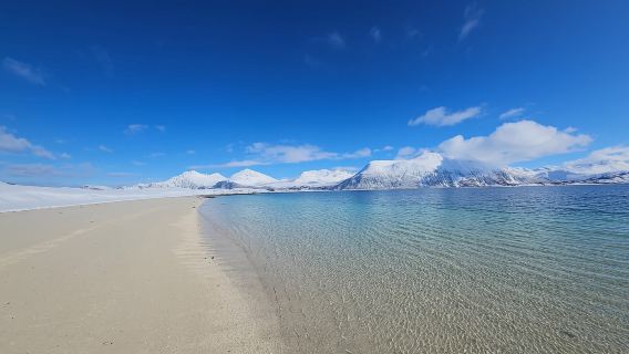 Tromsø: recorrido por los fiordos árticos. Sommerøya y Kvaløya con almuerzo