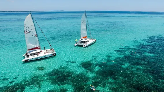Full-Day Cruise to Ile aux Cerfs with BBQ Lunch Included