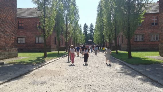 De Cracovie : Auschwitz-Birkenau et visite autoguidée d'une journée