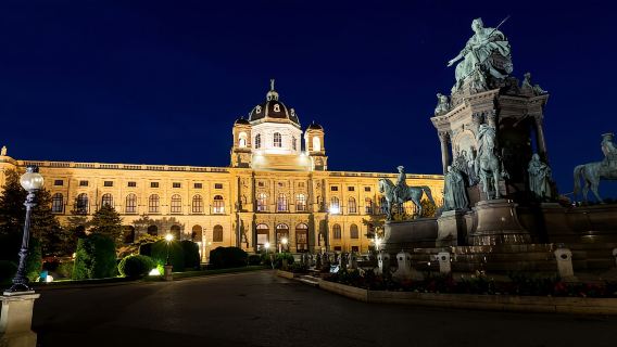Vienna: tour panoramico notturno in autobus