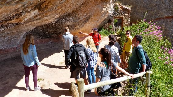 Desde Barcelona: Senderismo por la montaña de Montserrat y visita a la Abadía