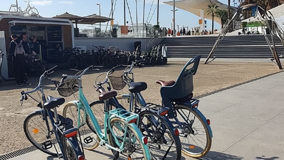 Malaga: noleggio bici privato