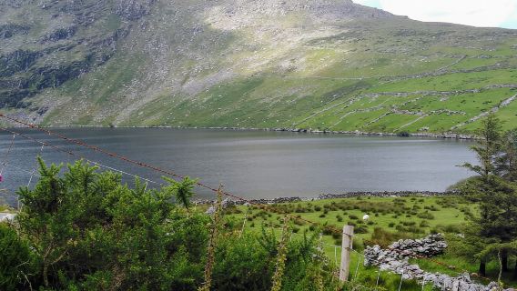 Từ Cork: Tour tham quan vòng quanh Kerry và Killarney có hướng dẫn viên trọn ngày