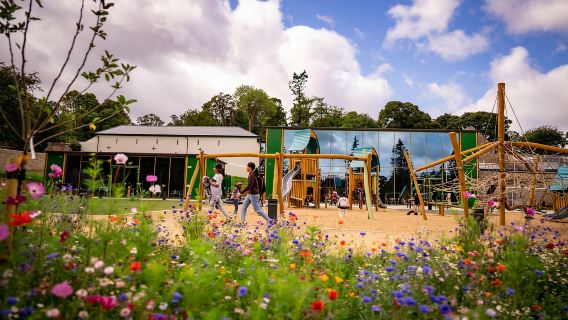 Biglietti d'ingresso individuali per il Treetop Walk & Viewing Tower