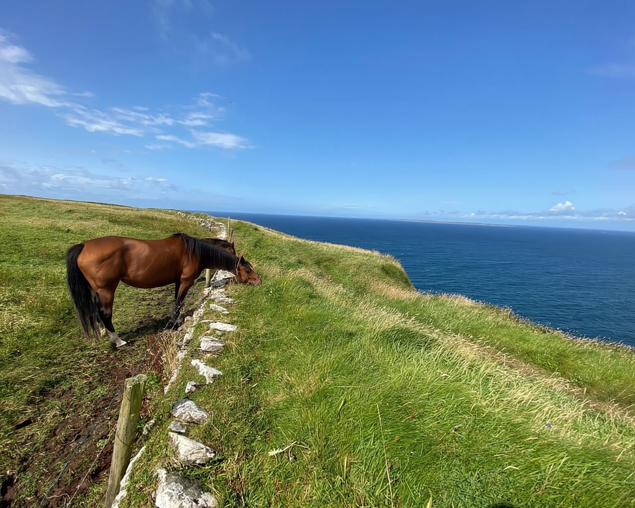 From Galway: Cliffs of Moher Guided Coastal Walk