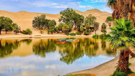 Ab Lima: Ballestas-Inseln &amp; Huacachina-Oase - Tagestour