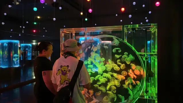 東京：夜間電動自行車之旅，包括東京鐵塔和海豚表演