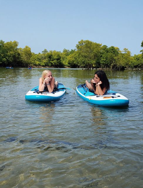 Zanzibar: Tour tham quan rừng ngập mặn có hướng dẫn độc đáo bằng SUP hoặc Kayak