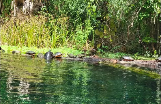 銀泉州立公園玻璃底船+皮划艇之旅一日遊