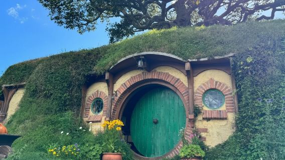 新西蘭陶波|機場至酒店點對點接送服務|可自訂行程