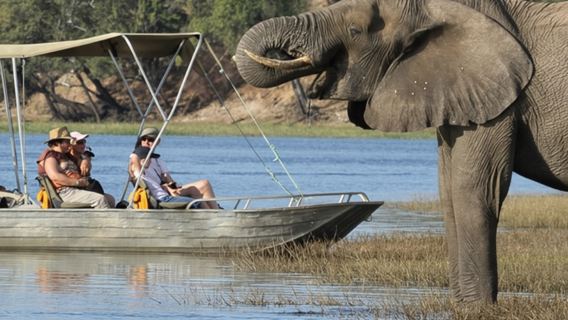 Depuis Victoria Falls : Excursion d'une journée au parc national de Chobe