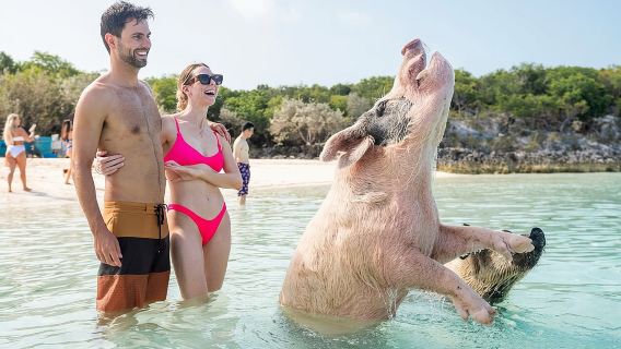 Exuma Elite Escape: Luxury Fly-In Pig Beach Adventure - 7 Stops