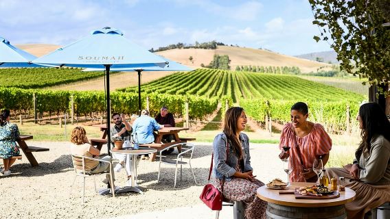Tour di mezza giornata alle cantine della Yarra Valley da Melbourne - Pomeriggio