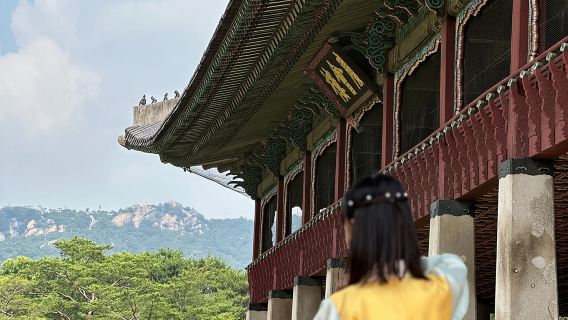 Best Things to Do - Half Day Seoul Trip (Seoul Palace & Temple)