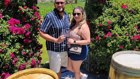 Private Wine Tour, Voted best in town, Tastings Included!