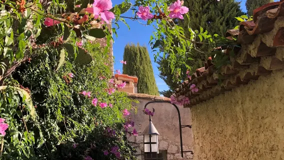 one-day tour from Nice, France: Eze, Fragonard Perfume Factory, and Monaco Cathedral