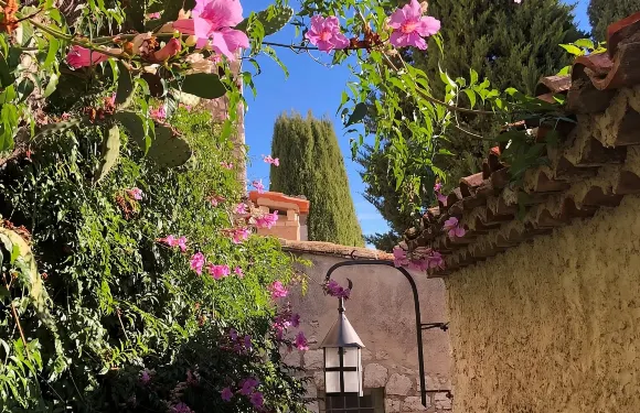 法國尼斯埃茲+花宮娜香水工廠+摩納哥大教堂一日遊