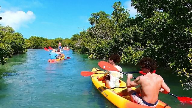 Key West Sandbar Charter With Kayak Tour: Includes Lunch & Drinks