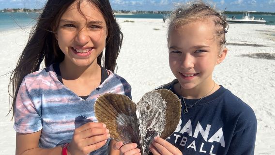 Barrier Island Shelling Tour
