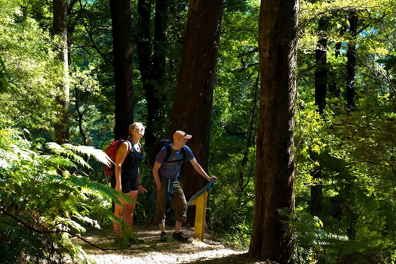 Self-Guided Queen Charlotte Track Walk from Picton