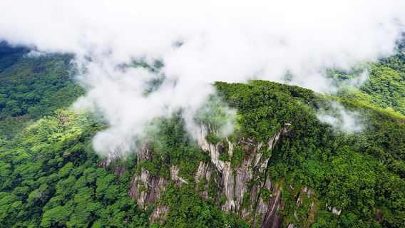 Private nature trail Morne Blanc from Mahé