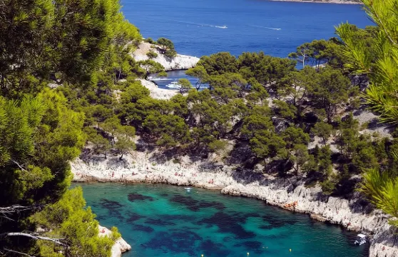 馬賽出發卡西斯及普羅旺斯地區艾克斯觀光團