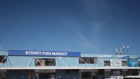 Cairns Hot Air Balloon hot air balloon ride[City pick-up and drop-off available]