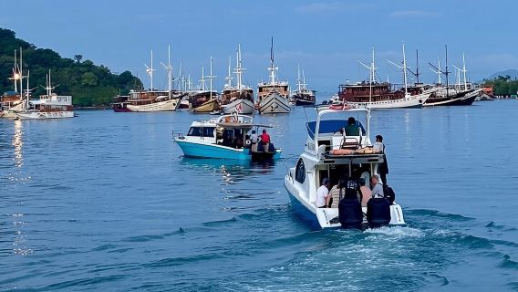 Групповой тур на катере «Ранняя пташка» — исследуйте Комодо раньше толпы