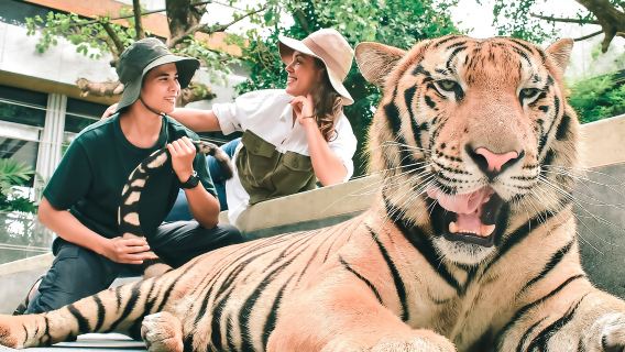 เชียงใหม่ ปางช้างแม่แตง + อุทยานแห่งชาติน้ำตกบัวตอง-น้ำพุเจ็ดสี + อาณาจักรเสือ ทัวร์วันเดียว ขี่ช้าง/ล่องแพไม้ไผ่