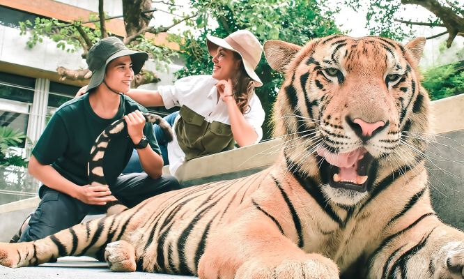 ทัวร์ 1 วัน ปางช้างโชคชัย + อุทยานแห่งชาติน้ำตกบัวตอง-น้ำพุเจ็ดสี + คุ้มเสือ แม่ริม ล่องแพ
