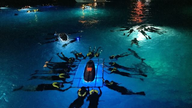 Big Island Manta Ray Night Snorkel