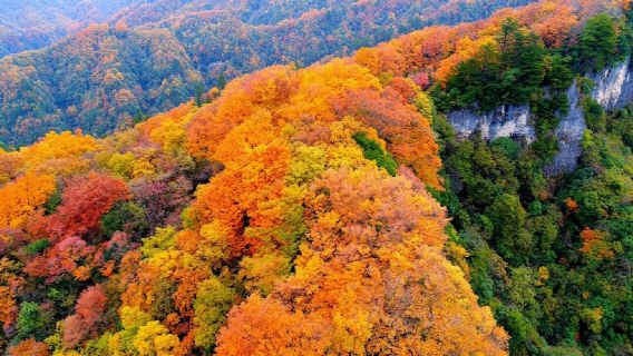 光霧山景區包車遊【（漢中出發）光霧山米倉山十八月潭】