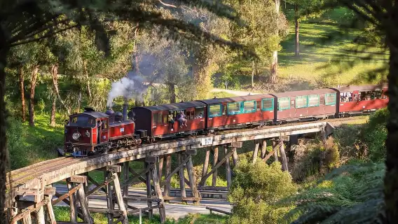 Melbourne Puffing Billy Steam Train + Penguin Island Day Tour [Visit two popular attractions in one day]