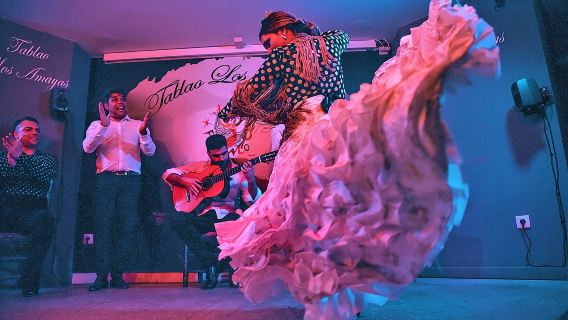 Flamenco, Tapas and Wine Tour: Best of Málaga in one Evening