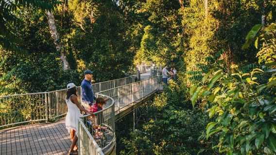 開恩茲天空之城+藍光蟲夜遊【中文司導+市區多站點免費接送】