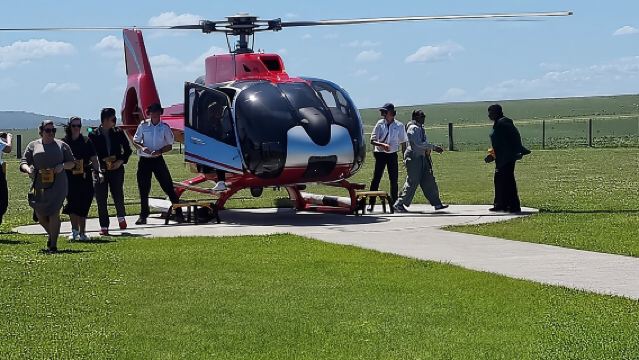 Lux Great Ocean Road Tour Reverse - Max 11 Hotel Pickup