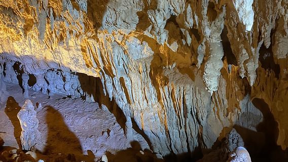 Auckland: Waitomo Glowworm Caves Explorer Small Group Tour